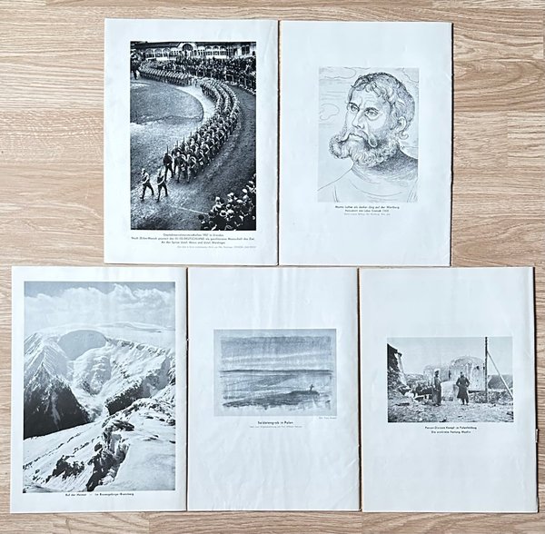 galleryimage 3