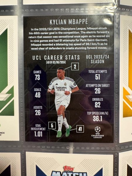 galleryimage 2 zoomed in