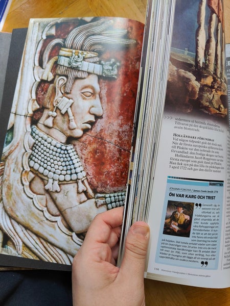 galleryimage 3