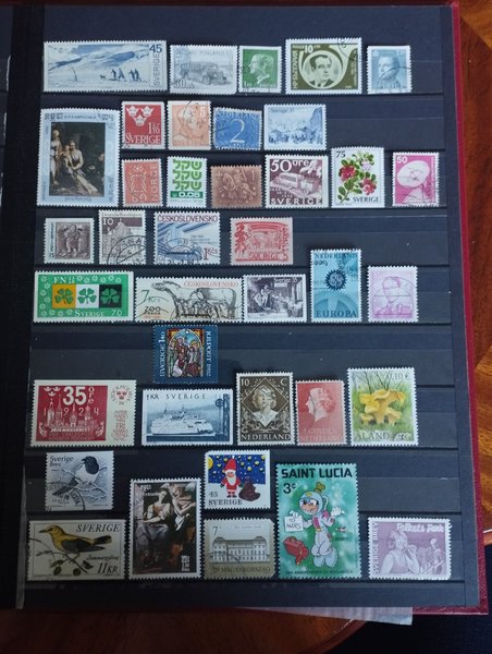 galleryimage 2