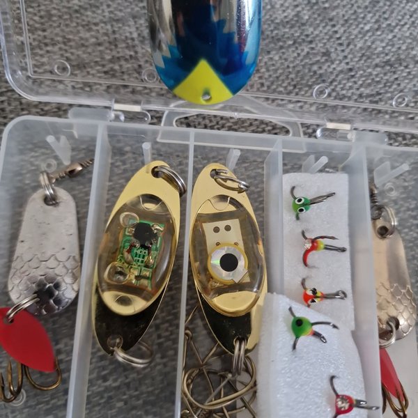 galleryimage 2