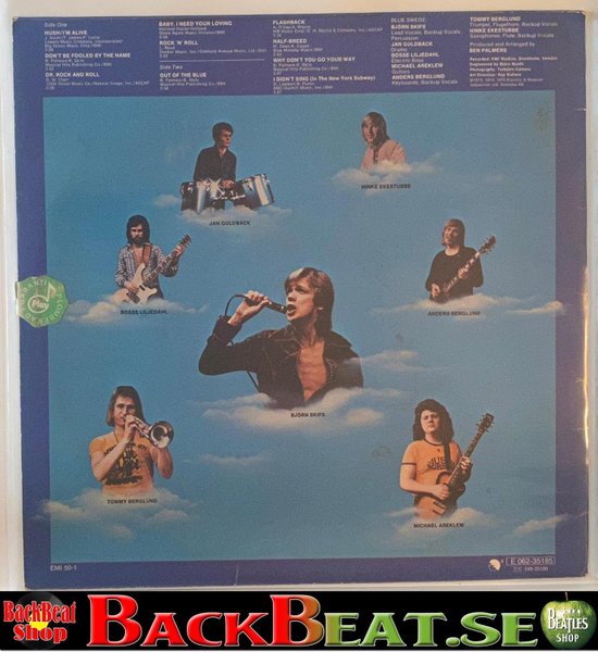 galleryimage 2 zoomed in