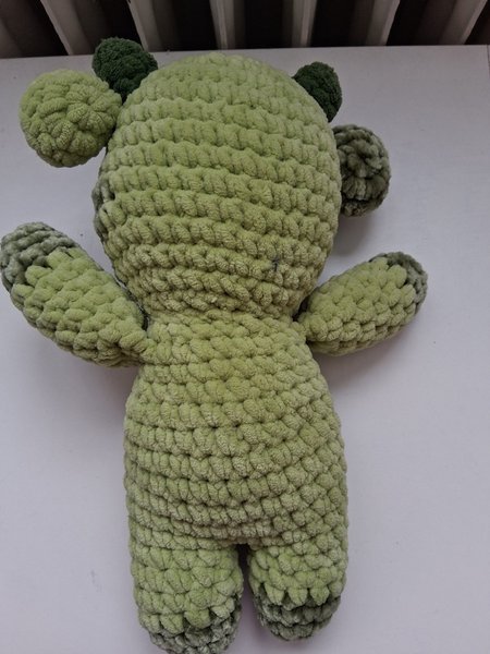 galleryimage 2 zoomed in