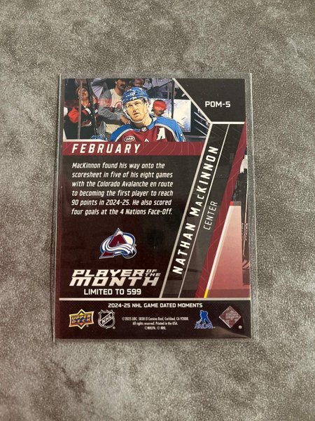 galleryimage 2 zoomed in