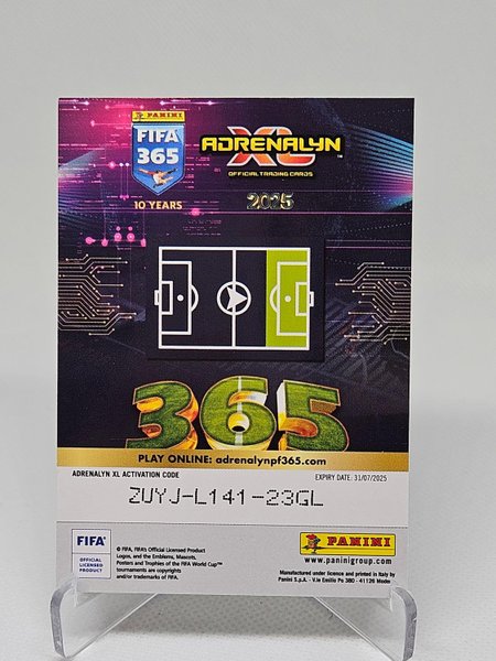 galleryimage 2 zoomed in