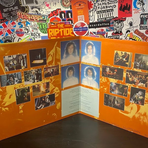 galleryimage 3