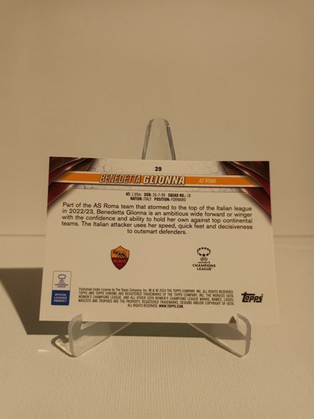 galleryimage 2 zoomed in