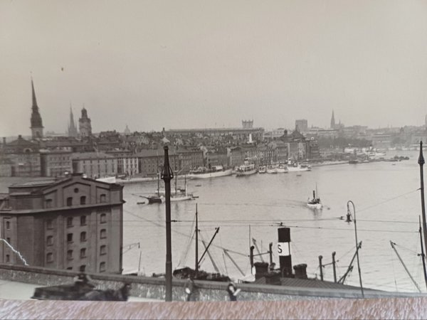 galleryimage 2