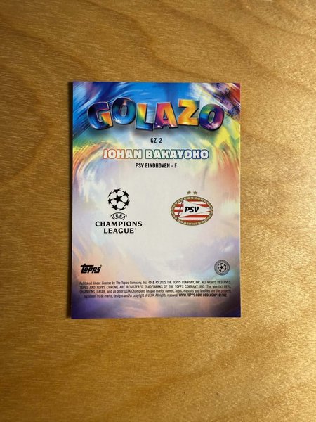 galleryimage 2 zoomed in