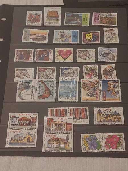 galleryimage 3