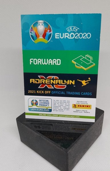 galleryimage 2 zoomed in