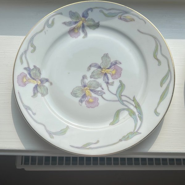 galleryimage 2