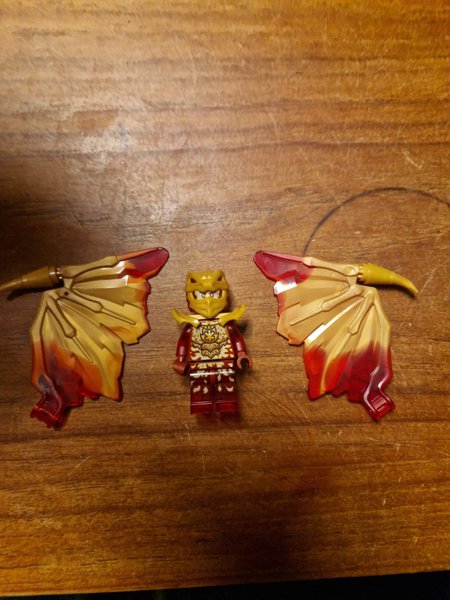 galleryimage 2 zoomed in