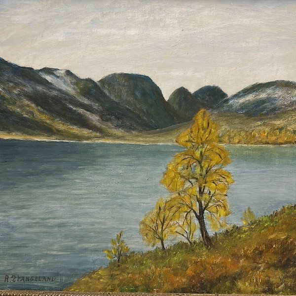 galleryimage 2