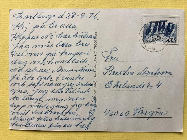 galleryimage 2 zoomed in