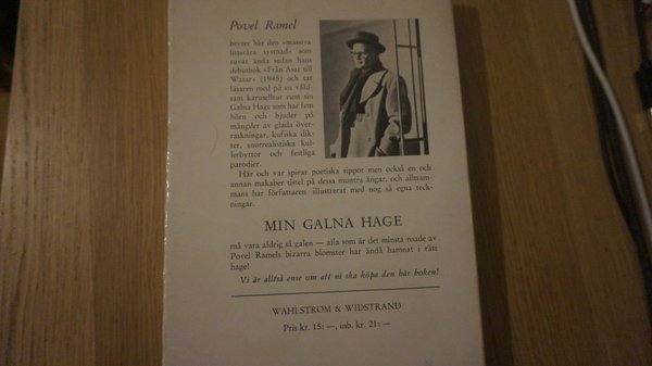 galleryimage 2