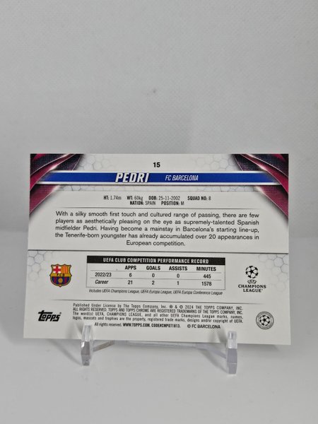 galleryimage 2 zoomed in