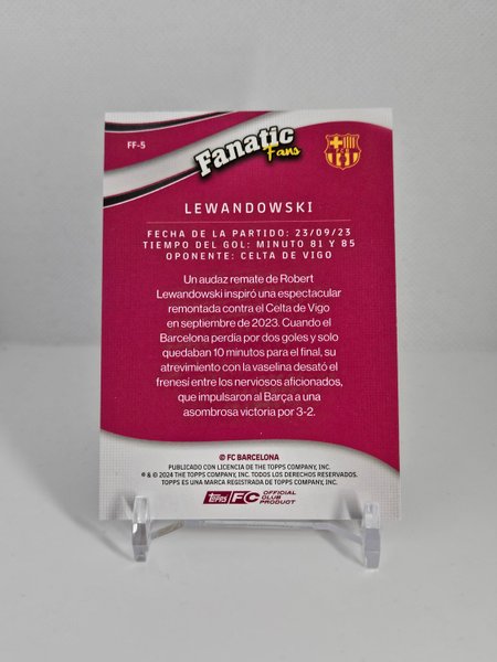 galleryimage 2 zoomed in