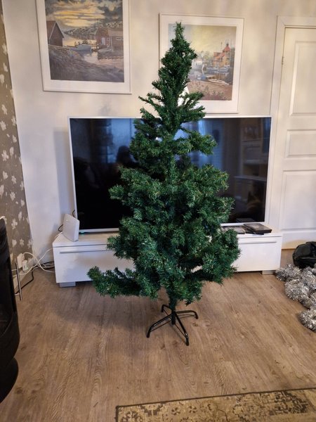 galleryimage 2 zoomed in