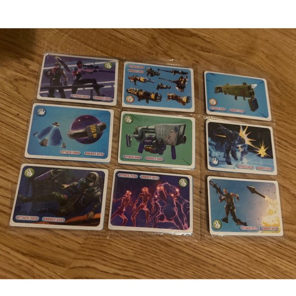 galleryimage 2 zoomed in