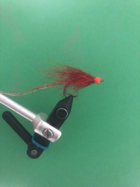 galleryimage 2 zoomed in