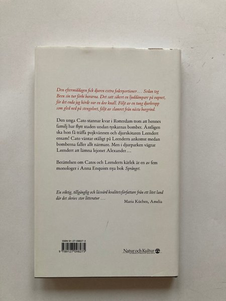 galleryimage 2 zoomed in