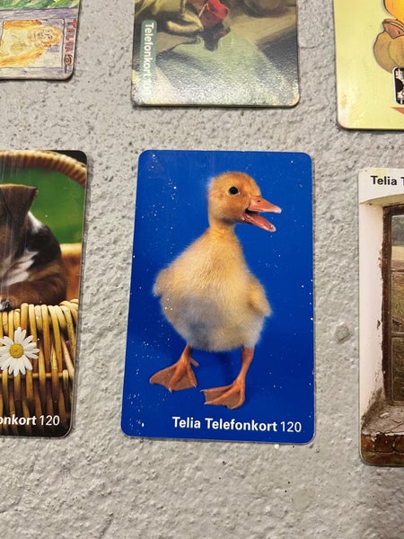 galleryimage 3