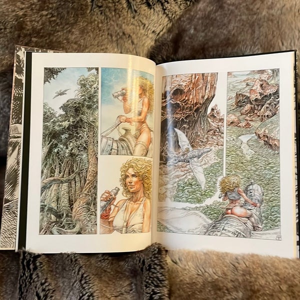 galleryimage 3