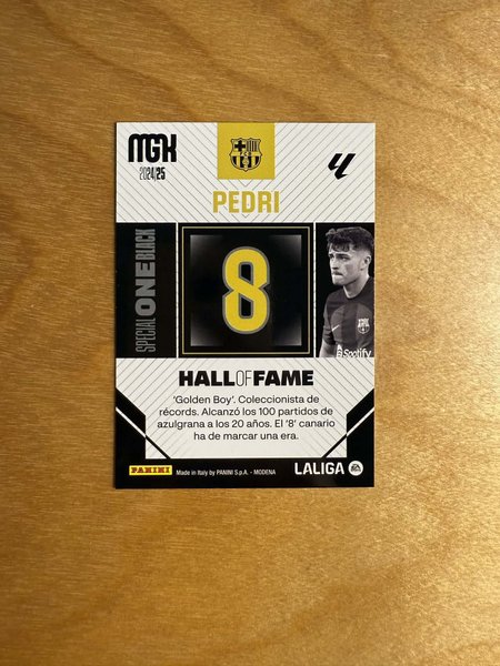 galleryimage 2 zoomed in