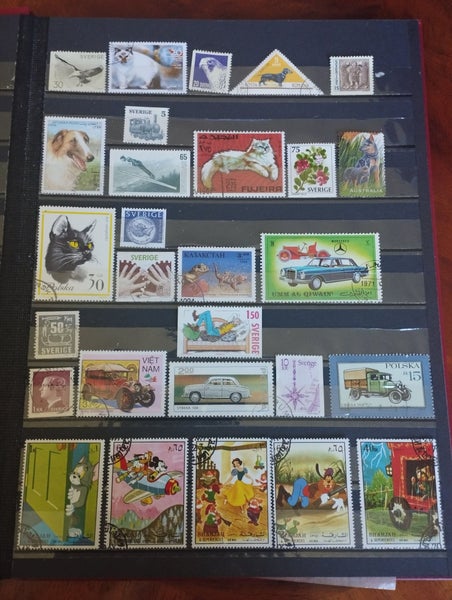galleryimage 2