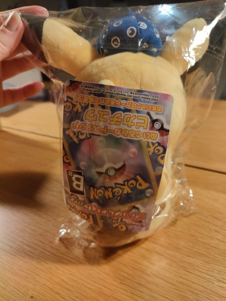 galleryimage 2 zoomed in