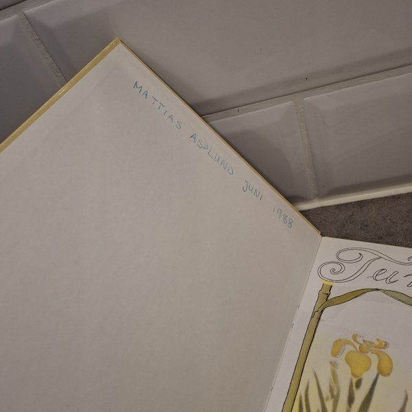 galleryimage 3