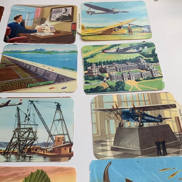 galleryimage 3