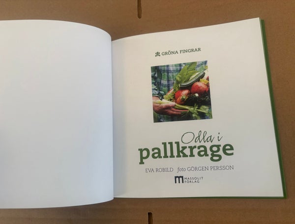 galleryimage 3