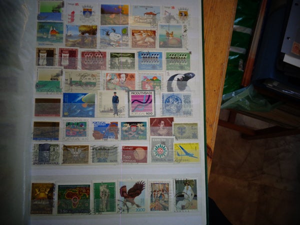galleryimage 3