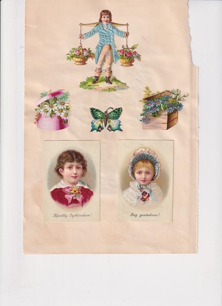 galleryimage 2