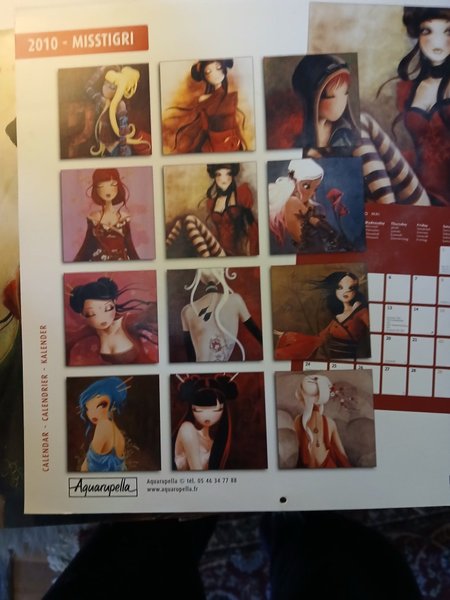 galleryimage 2