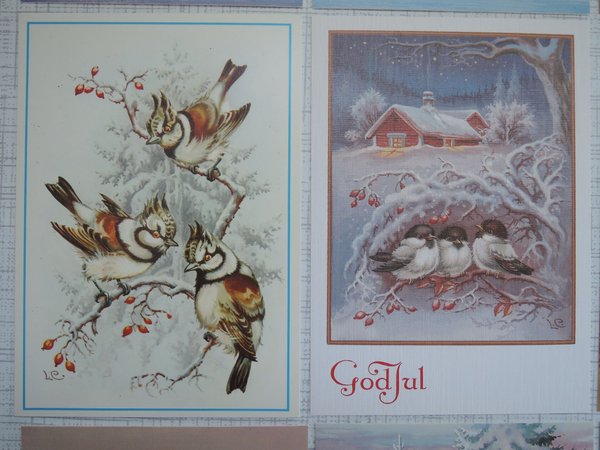 galleryimage 3