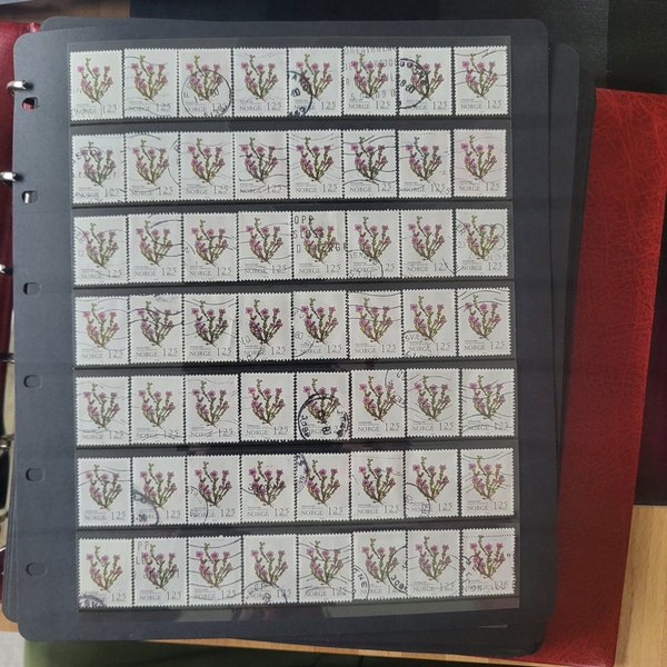 galleryimage 2