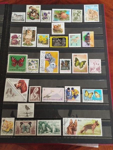 galleryimage 2
