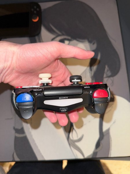 galleryimage 2 zoomed in