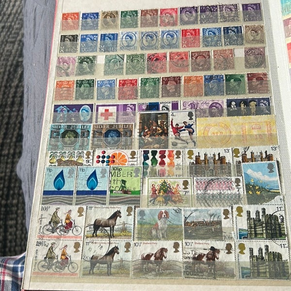 galleryimage 3