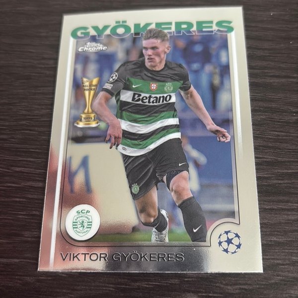 galleryimage 2 zoomed in