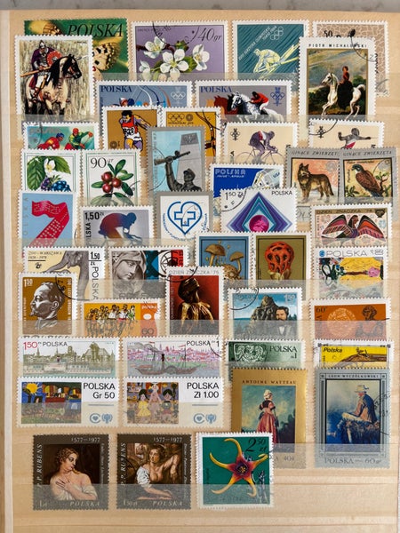 galleryimage 3