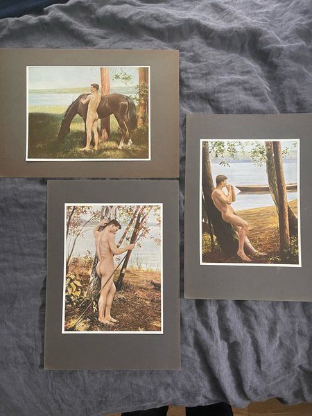 galleryimage 2