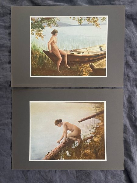 galleryimage 3