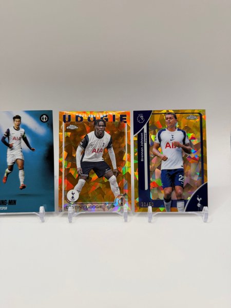 galleryimage 3