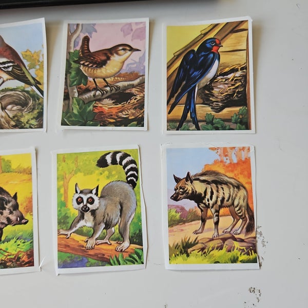 galleryimage 3