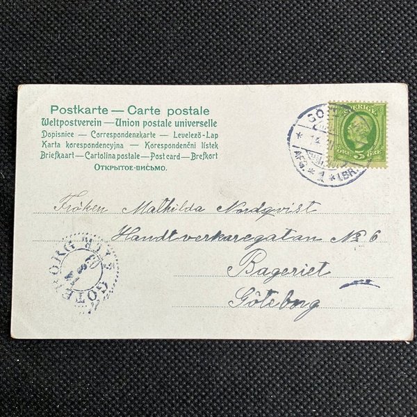 galleryimage 2 zoomed in