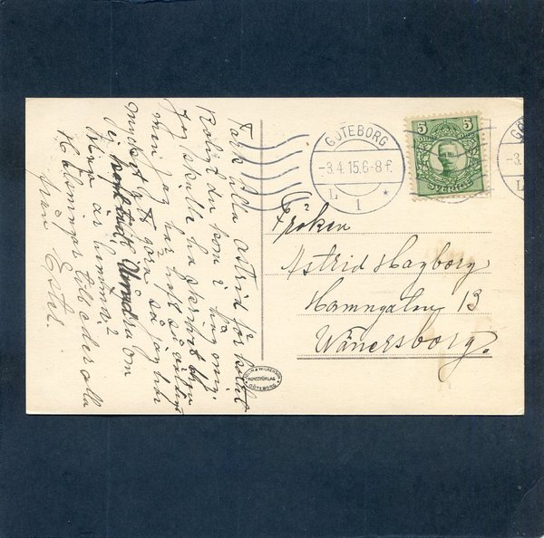 galleryimage 2 zoomed in